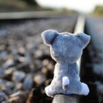 stop children suicide, teddy bear waiting, lost friend, railway, remembering those kids, who left us too soon, school stress, exam stress, academic stress, horror education system, ruthless education system, competitive education system, school pressure, home pressure, peer pressure, society pressure, pressure to be perfect, bad marks, bad grades, education can kill, toxic childhood, stop kids and teens neglect, stop physical abuse, stop emotional abuse, stop cyber bullying, stop bullying in schools, stop school violence, save kids and teens, help kids and teens, protect kids and teens, be nice to kids and teens, talk with them, give them a helping hand, photo with love, you are not forgotten, lost friend, railway, peer pressure, peer pressure, peer pressure, society pressure, society pressure, society pressure, society pressure, society pressure