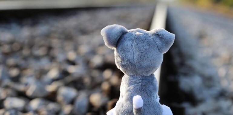 stop children suicide, teddy bear waiting, lost friend, railway, remembering those kids, who left us too soon, school stress, exam stress, academic stress, horror education system, ruthless education system, competitive education system, school pressure, home pressure, peer pressure, society pressure, pressure to be perfect, bad marks, bad grades, education can kill, toxic childhood, stop kids and teens neglect, stop physical abuse, stop emotional abuse, stop cyber bullying, stop bullying in schools, stop school violence, save kids and teens, help kids and teens, protect kids and teens, be nice to kids and teens, talk with them, give them a helping hand, photo with love, you are not forgotten, lost friend, railway, peer pressure, peer pressure, peer pressure, society pressure, society pressure, society pressure, society pressure, society pressure